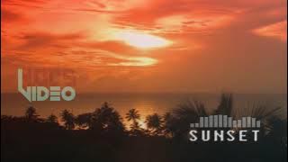 SUNSET - SLEEPING LION | SLOW MUSIC | NOCS Video