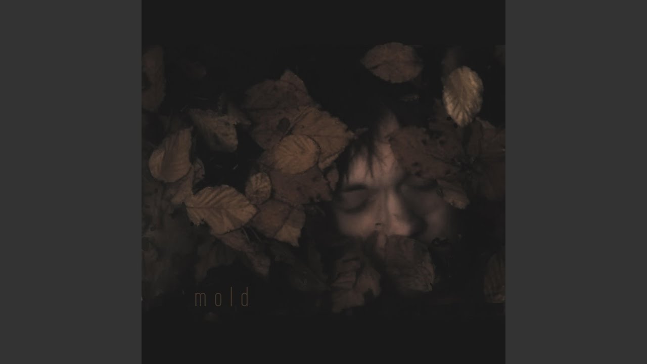 Watch Mold on YouTube Watch Mold on YouTube