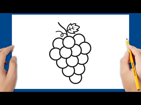 Vidéo: Comment Dessiner Une Vigne