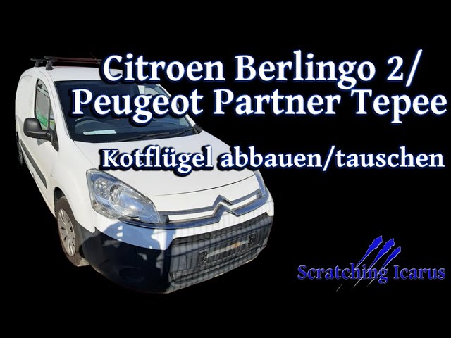 Citroen Berlingo 2/ Peugeot Partner Tepee Fensterheber und  Fensterheberschalter tauschen - Tutorial 