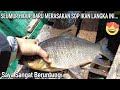 SETAHUN SEKALI PUN BELUM TENTU DAPAT IKAN INI.. Berkah air Surut..🥰