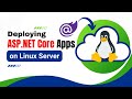 Deploying dotnet core to linux  blazor deploy linux