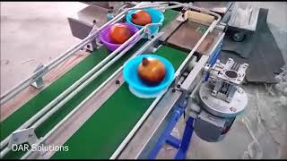 Universal Fruit Sorting Machine By DAR Solutions
