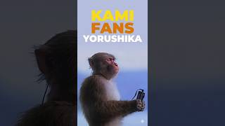 Aku yorushika #anime #wibu #wibubanzai #animesong #rezero