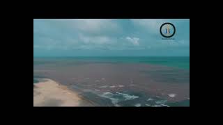 Best Somali Nature and Relaxing Instrumental music screenshot 5