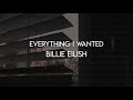 Everything I wanted - Billie Eilish (slowed   lyrics)