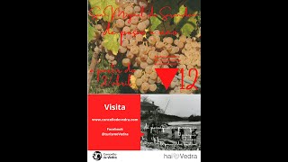 4 O salmón e o Couto de Ximonde