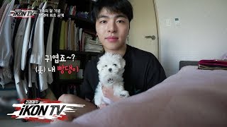 iKON - ‘자체제작 iKON TV’ EP.7-1