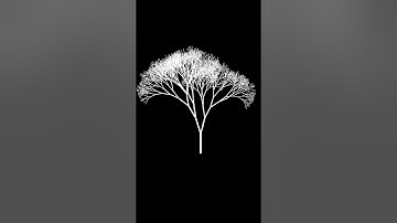 Arbol hecho en Python y turtle. #python #pythonprogramming #programacion #pythonturtle