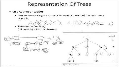 Tree 2 (Representation of trees)
