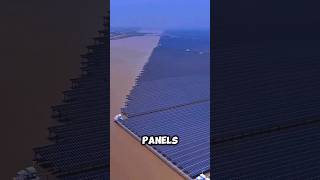 Why are the Chinese turning to solar power generation! 💡