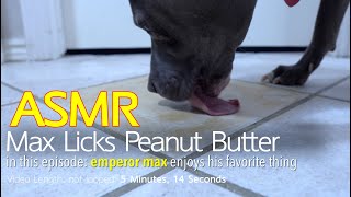 Max Licks | Peanut Butter Square 1 | ASMR DOG LICKING