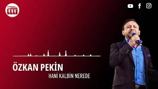 !! YENİ !! Özkan Pekin - Hani Kalbin Nerede [2020] Resimi