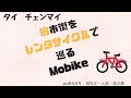 50代海外女一人旅：チェンマイ 旧市街をレンタサイクルで巡る　Mobike