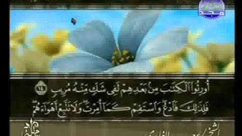 سورة الشورى الشيخ سعد الغامدي1/2 As-Shoera
