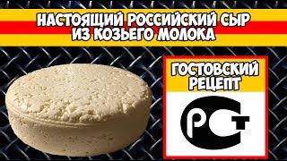 Российский сыр в домашних условиях на заквасках Бакздрав. Рецепт. Из козьего молока Российский сыр в домашних условиях на заквасках Бакздрав. Рецепт. Из козьего молока