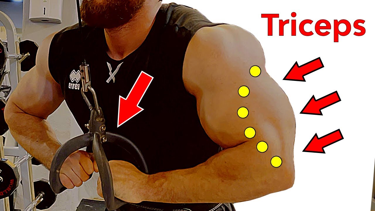 Full Arm Workout - 12 exercises to make your arms Big and perfect 