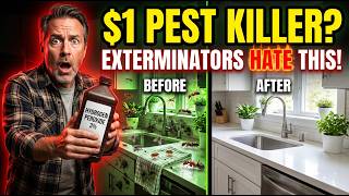 This $1 Bottle Replaces Expensive Pest Control — 9 Hidden Uses of Hydrogen Peroxide