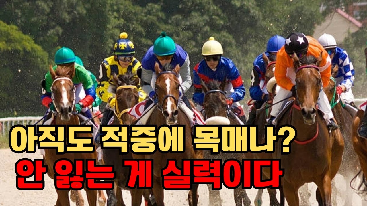 💸경마 시즌3 제6강ㅣ80% 맞춰도 파산! "30%로 돈 버는 법'