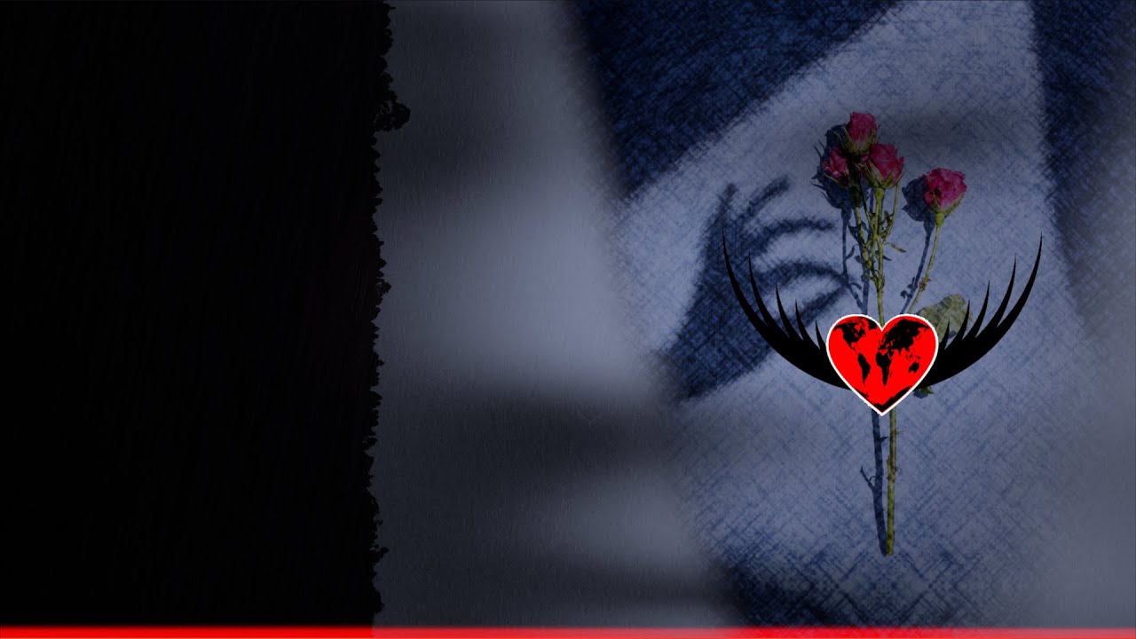 Revel Day Rose Petals YouTube