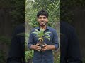 बिना टाइटल वाला Ai video 😂💕💕 #train #funny