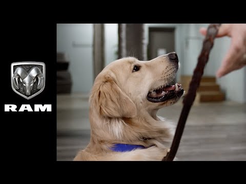 Leader Dogs for the Blind | Ram Commercial