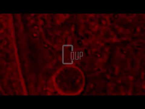 W.LV.S (Electric Rescue & Manu Le Malin) - Misericordia - [AR08]