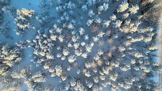 First Snow In Southern Finland - Drone Video - 4K - Nature