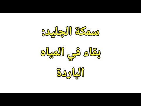 سمكة الجليد بقاء في المياه الباردة