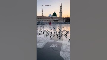 #آيات #فلسطين #اسلام_صبحي #غزة #مكة
