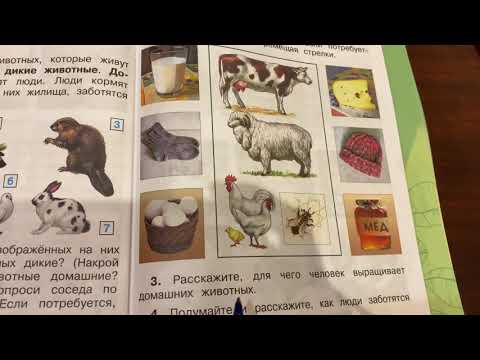 Окружающий мир/2 класс/Плешаков/ Тема : «Дикие и домашние животные»/15.10.20