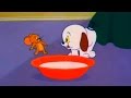 Tom and Jerry - Episode 80 - Puppy Tale (1954)