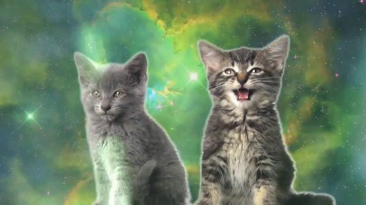  Space  Cats  Magic Fly  Spank0 Dubstep Remix YouTube