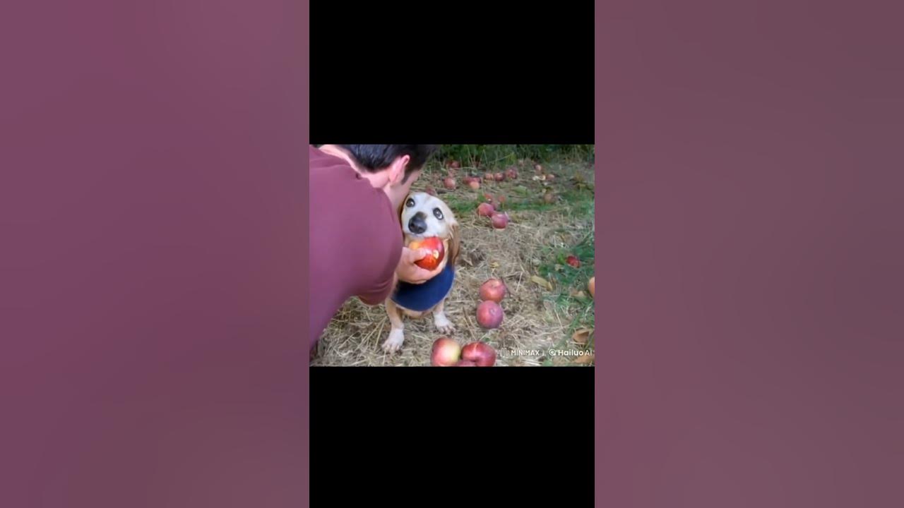 #apple #dog #ai #shorts πππ #apple #dog #ai #shorts πππ