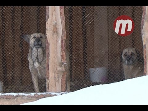 Отстоять землю