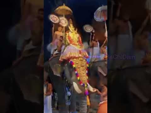 ശബരിമല സ്വര്ണക്കൊള്ള: