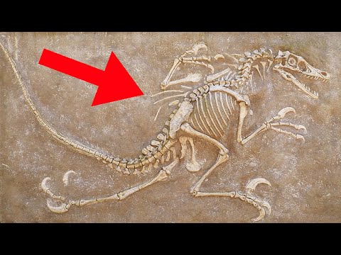 Video: Die Überreste Eines Dinosauriers, Der Der Wissenschaft Unbekannt Ist, Wurden In Großbritannien Gefunden - Alternative Ansicht
