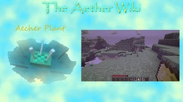 The Aether Wiki - Episode 3 - Aechor Plants