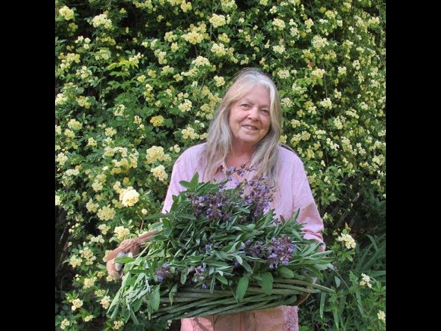 Episode 184: Chronic Swelling And Nerve Pain Eliminated With Cannabis Root And Herbs