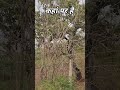 kaha par hai ..🌿🌺