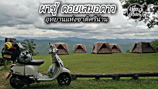 อุทยานแห่งชาติศรีน่าน ผาชู้ ดอยเสมอดาว Forza 300 X VespaS150 แอ่วเหนือ12วัน EP.60 จ.น่าน