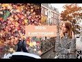 FALL AMSTERDAM VLOG | Осенний Амстердамский влог