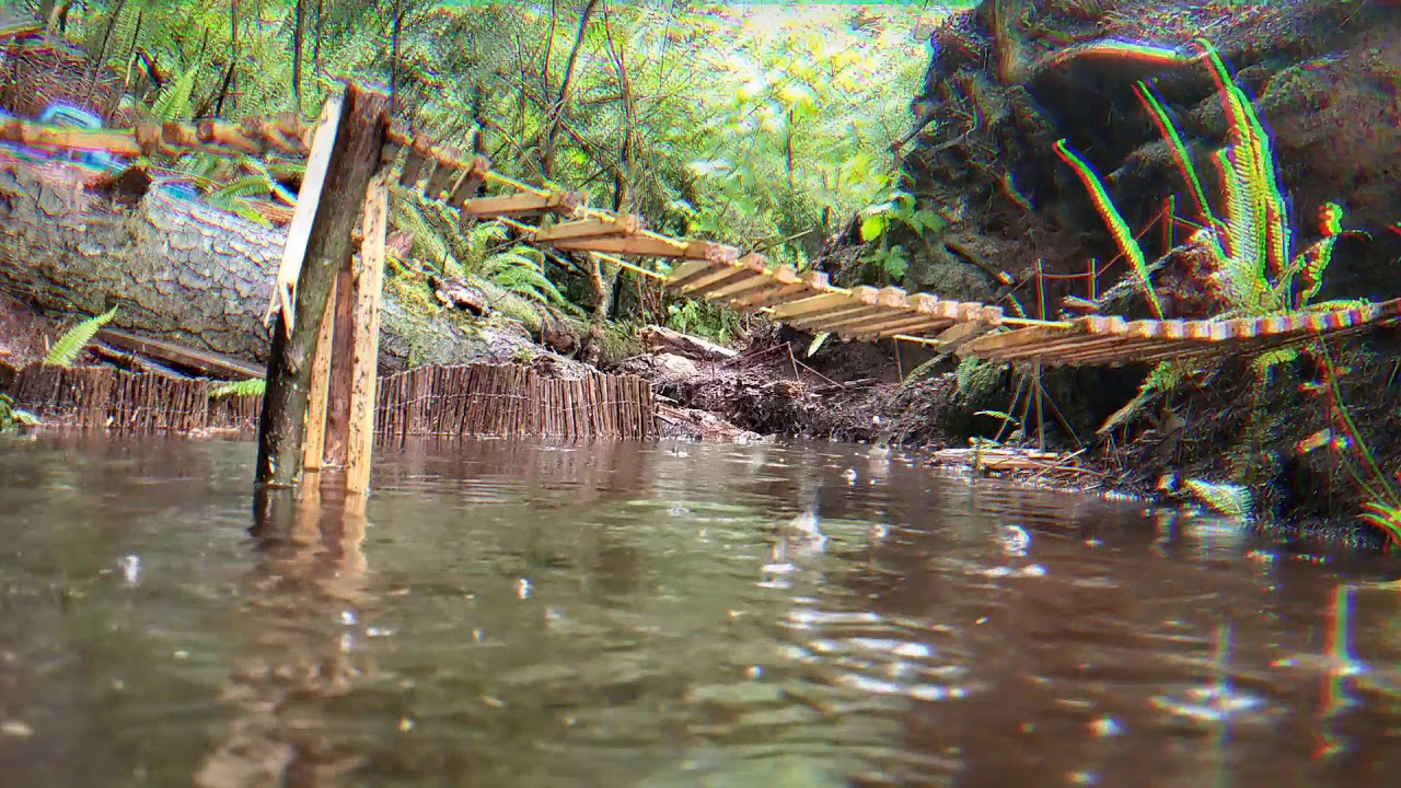 West Coast Scale Trail 👣 Soggy adventure Saturday - YouTube
