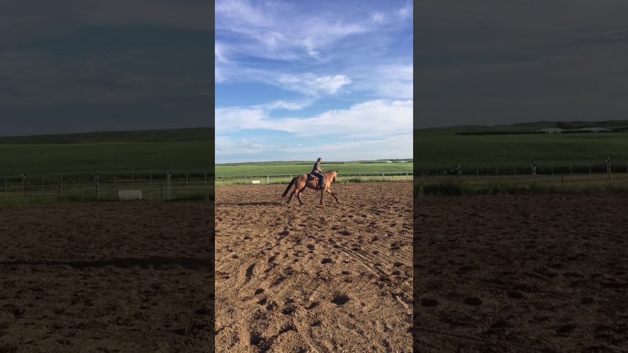 A321D0FC B891 4CFA BE41 CCD34CEF77E4