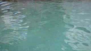 Gangotri, Hot Water Spring, Spa, Natural Spa