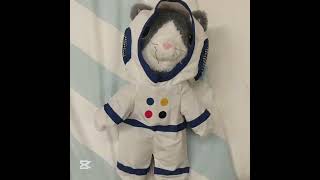 Ben En Çok Uzaylı Ve Köpekbalığını Seviyorumm Şfet