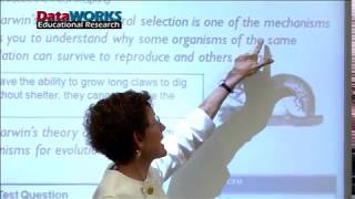 Clarify Minimal Pairs El Strategy