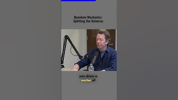 Quantum Mechanics Splitting the Universe | Sean Carroll #youtubeshorts #shorts #viral