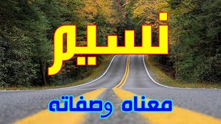 معنى اسم نسيم وصفات من يحمل هذا الاسم !!