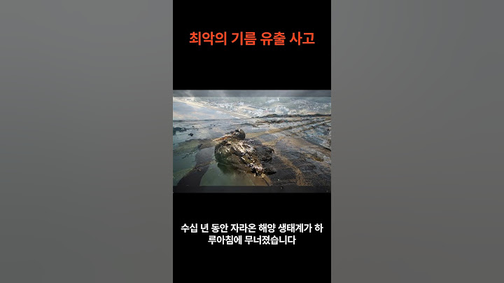 “태안 앞바다에 쏟아진 1만 톤, 그리고 120만 명”